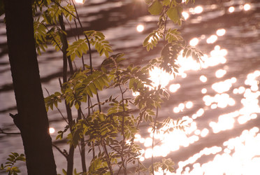 Similar image 21784720