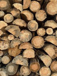 Similar image 21784810