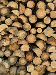 Similar image 21784811