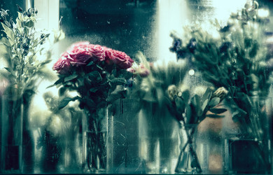 Similar image 21783579