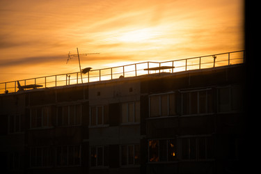 Similar image 21783582