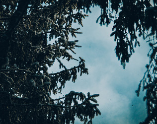 Similar image 21783587