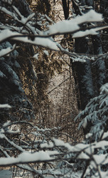 Similar image 21783588