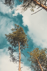 Similar image 21783590