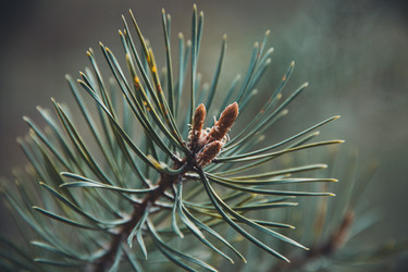 Similar image 21783592