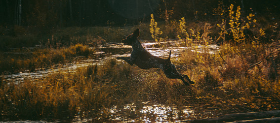 Similar image 21783599