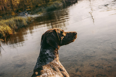 Similar image 21783600