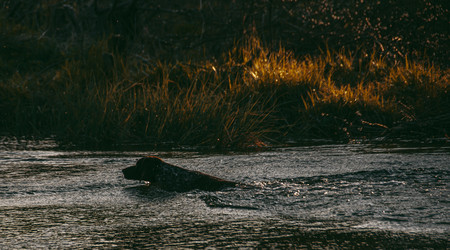 Similar image 21783601