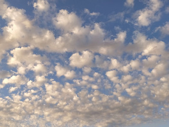 Similar image 21784728