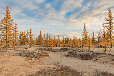 Similar image 21784845