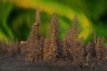 Similar image 21784848