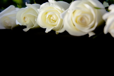 Similar image 21783769