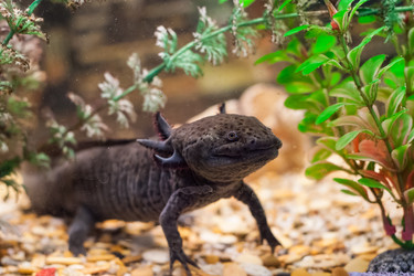 Similar image 21783771