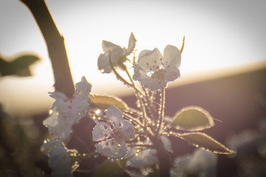 Similar image 21783775