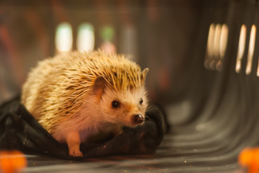 Similar image 21783777