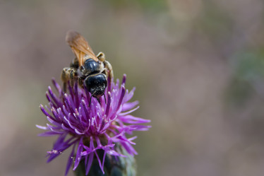 Similar image 21783783