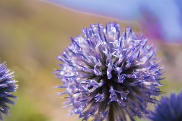 Similar image 21783791