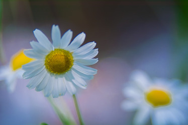 Similar image 21783793