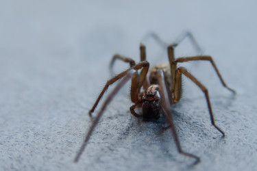 Similar image 21783794