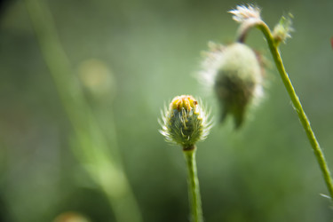 Similar image 21783803