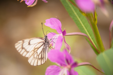 Similar image 21783809