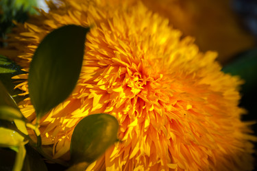 Similar image 21783812