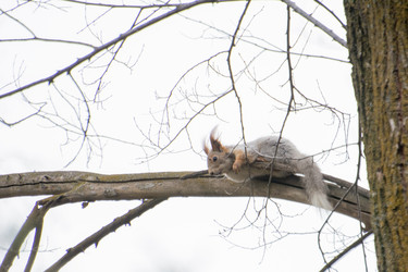 Similar image 21783813