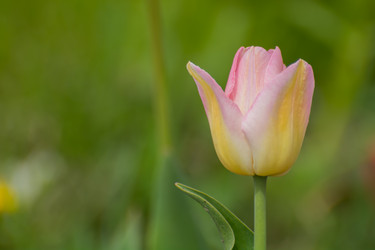 Similar image 21784869