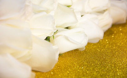 Similar image 21784871