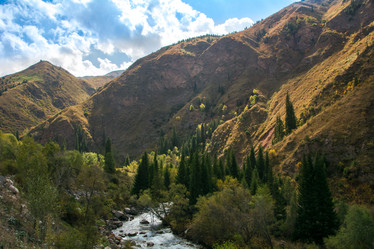 Similar image 21784874