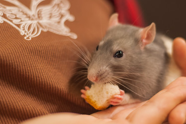 Similar image 21784877