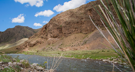 Similar image 21784879