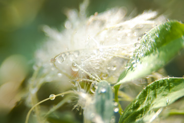 Similar image 21784881