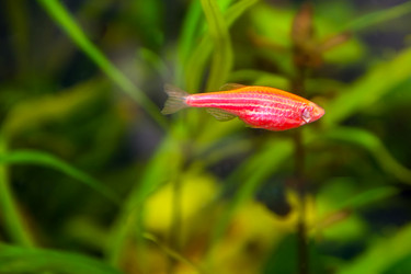 Similar image 21784883