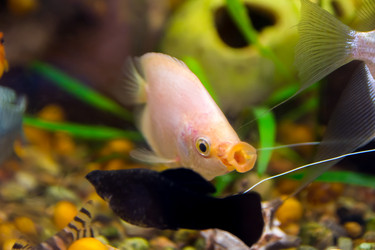 Similar image 21784884