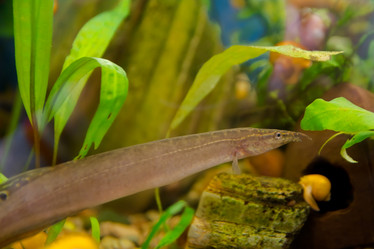 Similar image 21784887