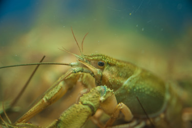 Similar image 21784893