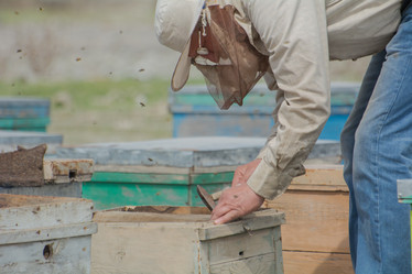 Similar image 21784894