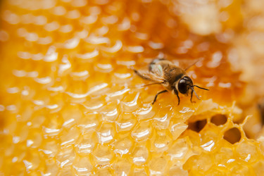 Similar image 21784899