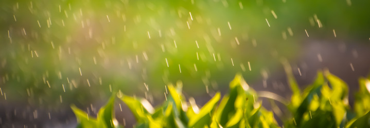 Similar image 21785010