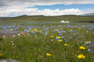 Similar image 21785017