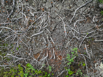 Similar image 21784909