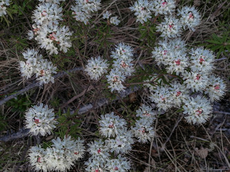 Similar image 21784910