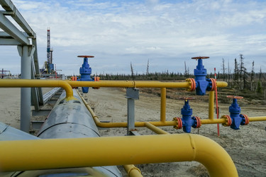 Similar image 21784912