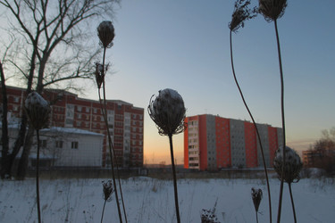 Similar image 21784744