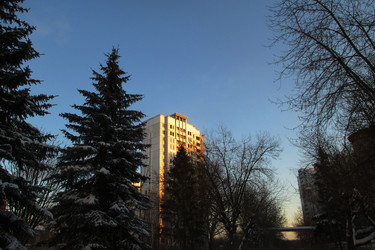 Similar image 21784745