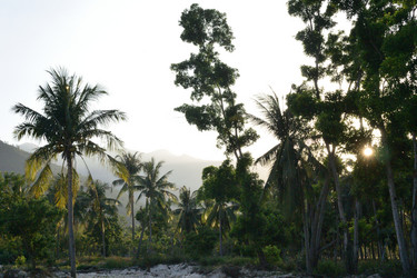 Similar image 21784925