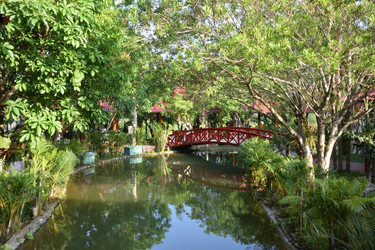 Similar image 21784946