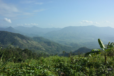 Similar image 21784950