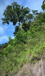 Similar image 21784951